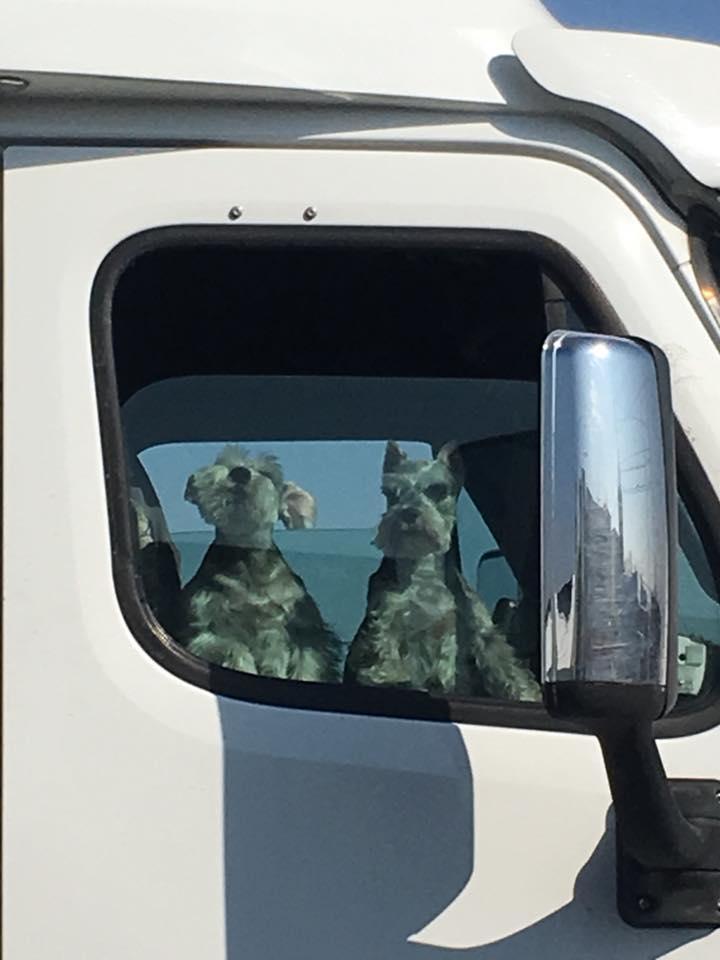 TA Travel Center Buttonwillow