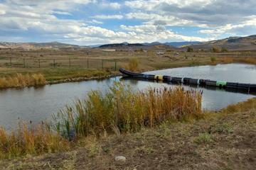 Off Leash Dog Parks In Winter Park Co Bringfido