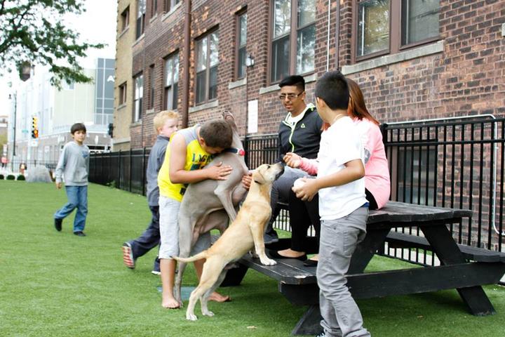 Pet Friendly Midtown Detroit Dog Park