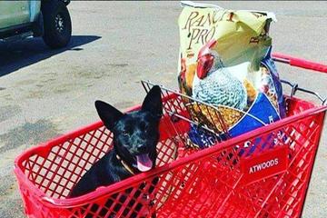 atwoods ranch & home atwoods ranch & home