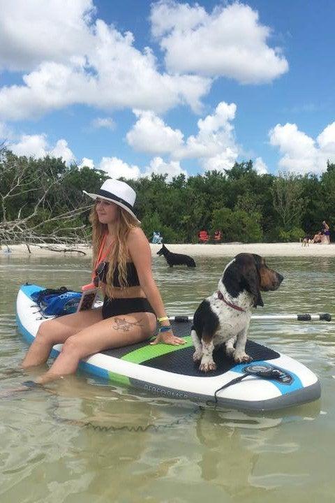 Pet Friendly Paddle Boarding Mangrove Islands Dog Beach & Dolphins