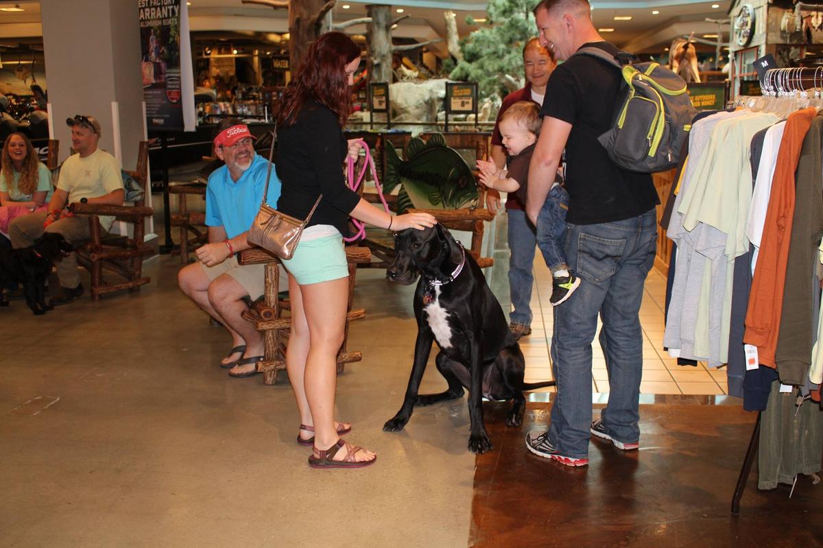 Bass pro on sale shop dog friendly