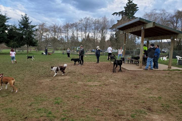 Pet Friendly Scappoose Off-Leash Dog Park