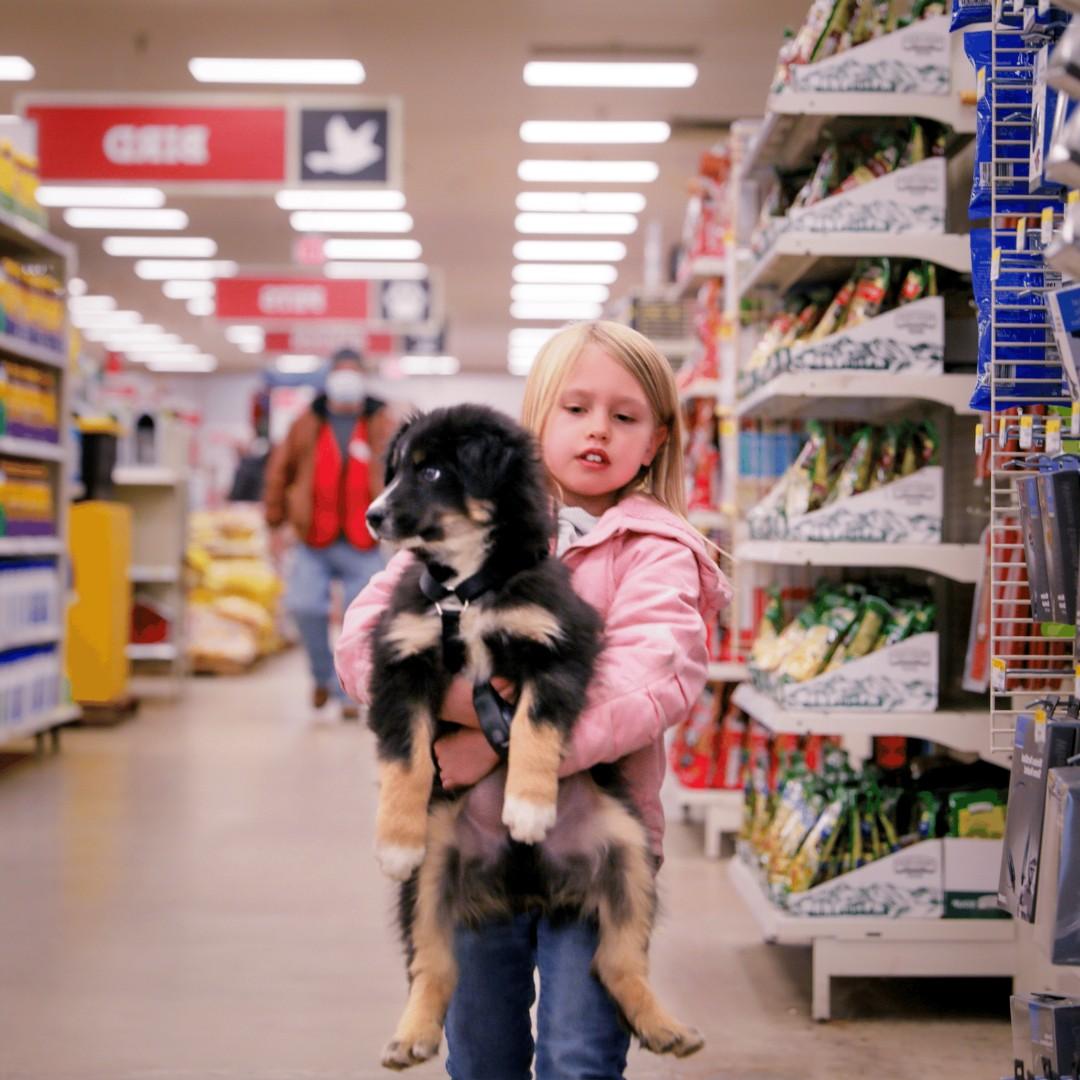 Rural king dog grooming cheap