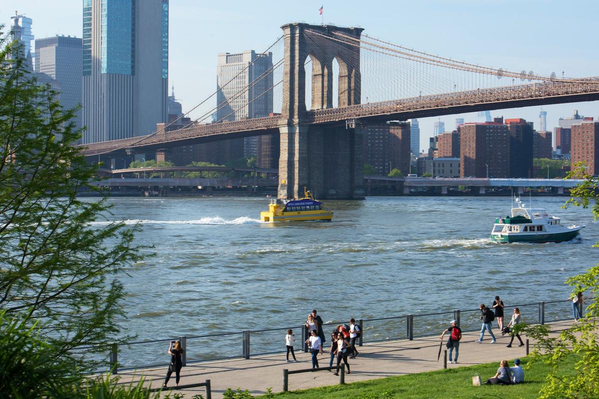 Are Dogs Allowed In Brooklyn Bridge Park