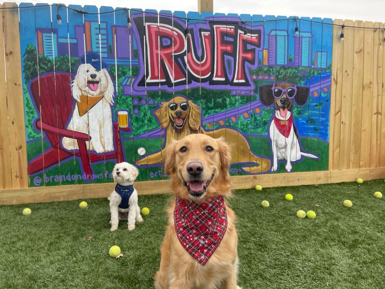 Pet Friendly Ruff Canine Club