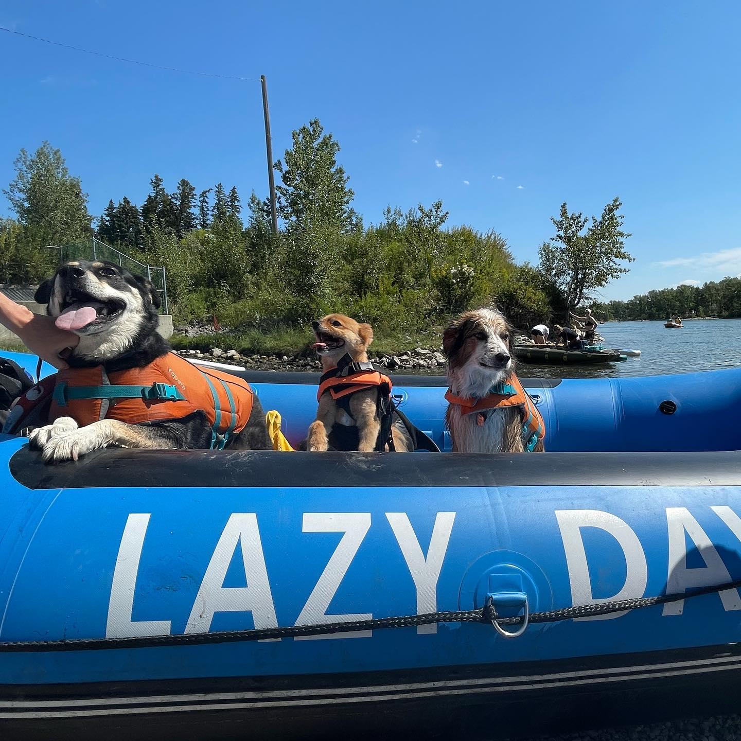 Pet Friendly Lazy Day Raft Rentals