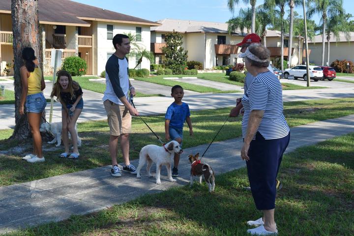 Things To Do In Sebring Fl >> Dog Friendly Activities In Sebring Fl Bring Fido Things To Do In Sebring Fl >> Dog Friendly Activities In Sebring Fl Bring Fido
