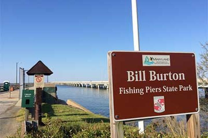 Pet Friendly Bill Burton Fishing Pier State Park