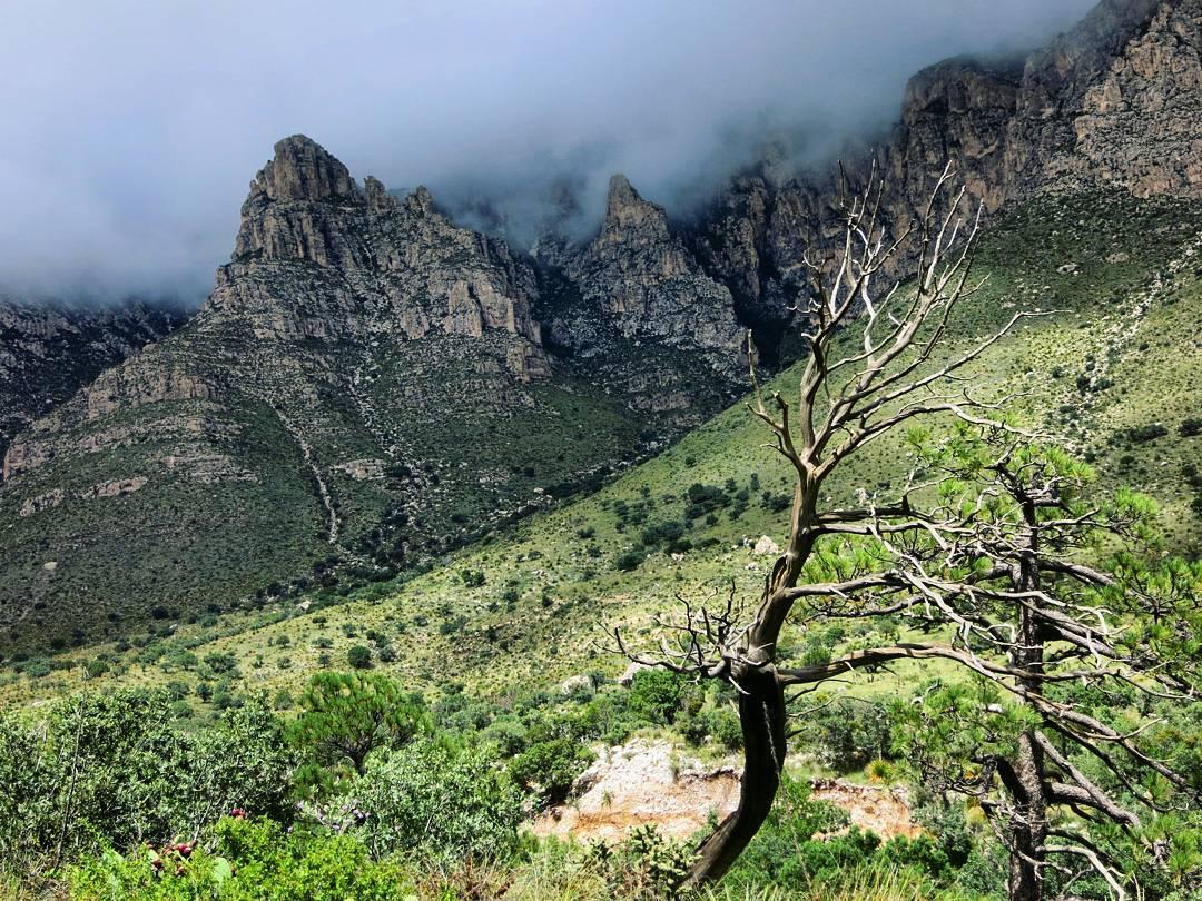 Pet Friendly Guadalupe Mountains National Park