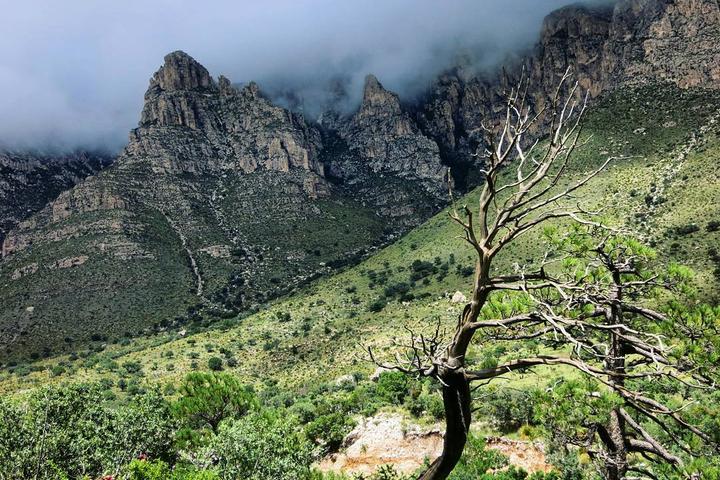 Pet Friendly Guadalupe Mountains National Park