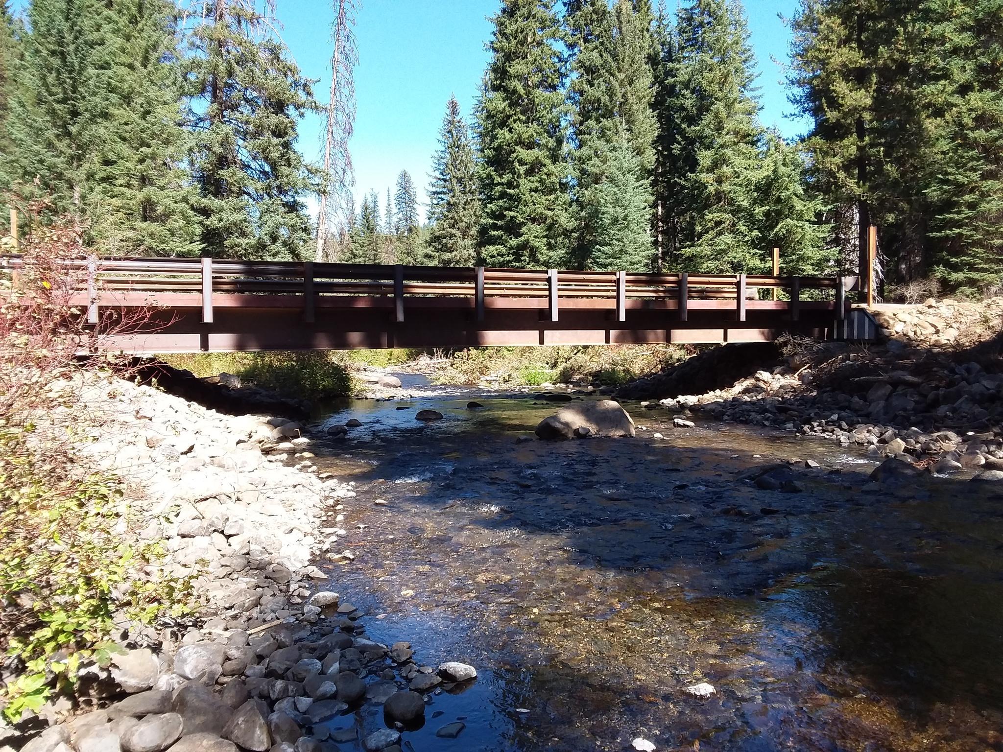 Pet Friendly Payette National Forest