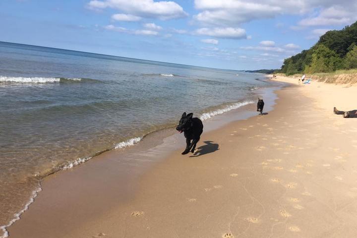 Pet Friendly Roadside Beach