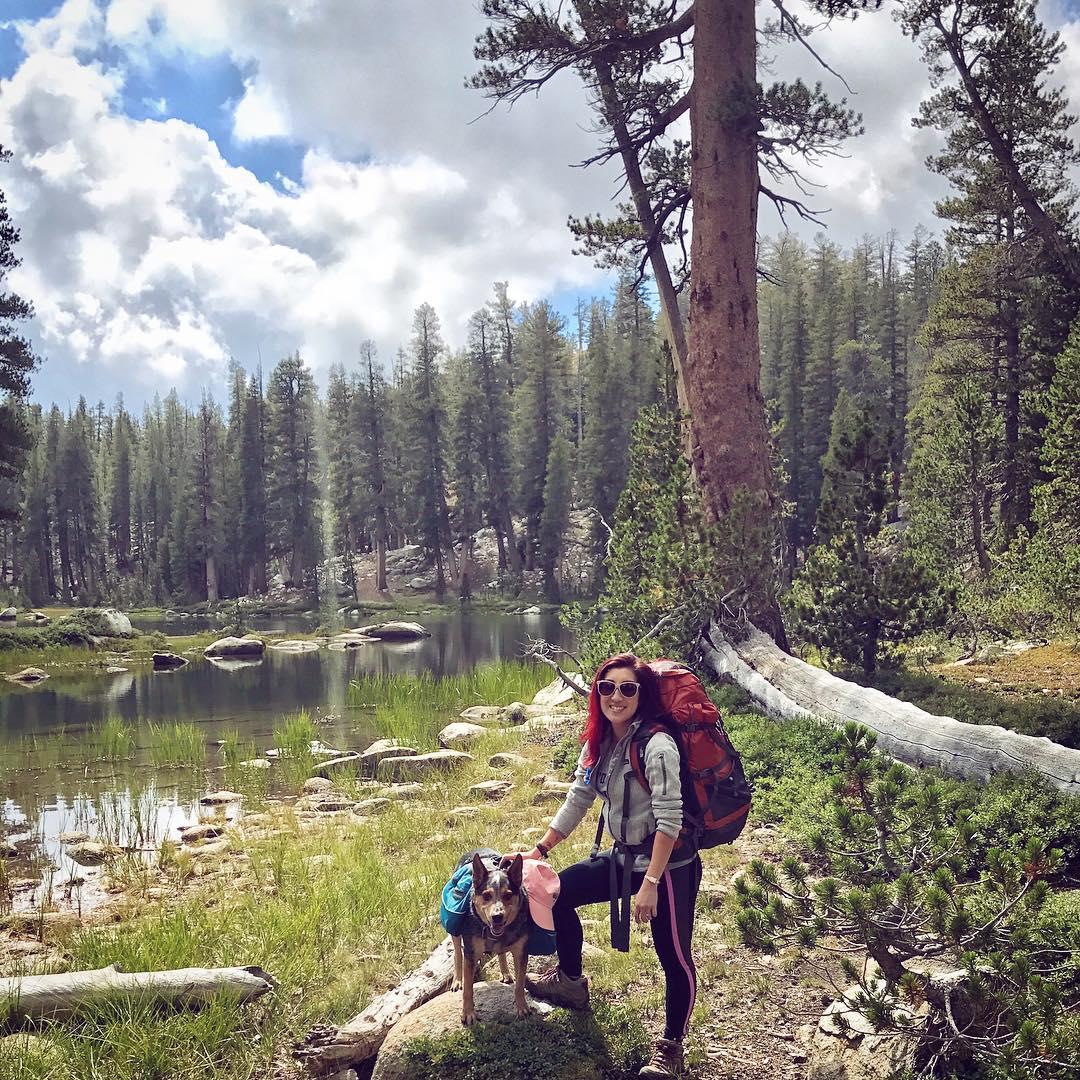 Dog friendly hikes 2024 sequoia national forest