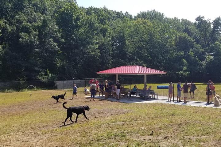 Pet Friendly Fitchburg Dog Park