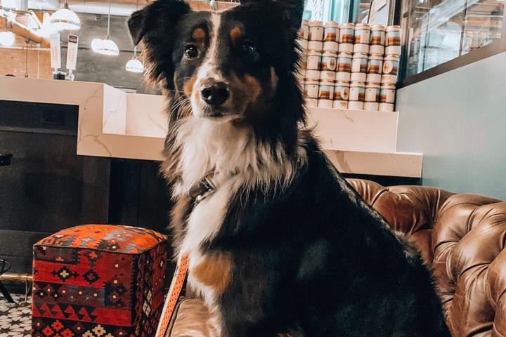 Pet Friendly Midwest Coast Brewing Company