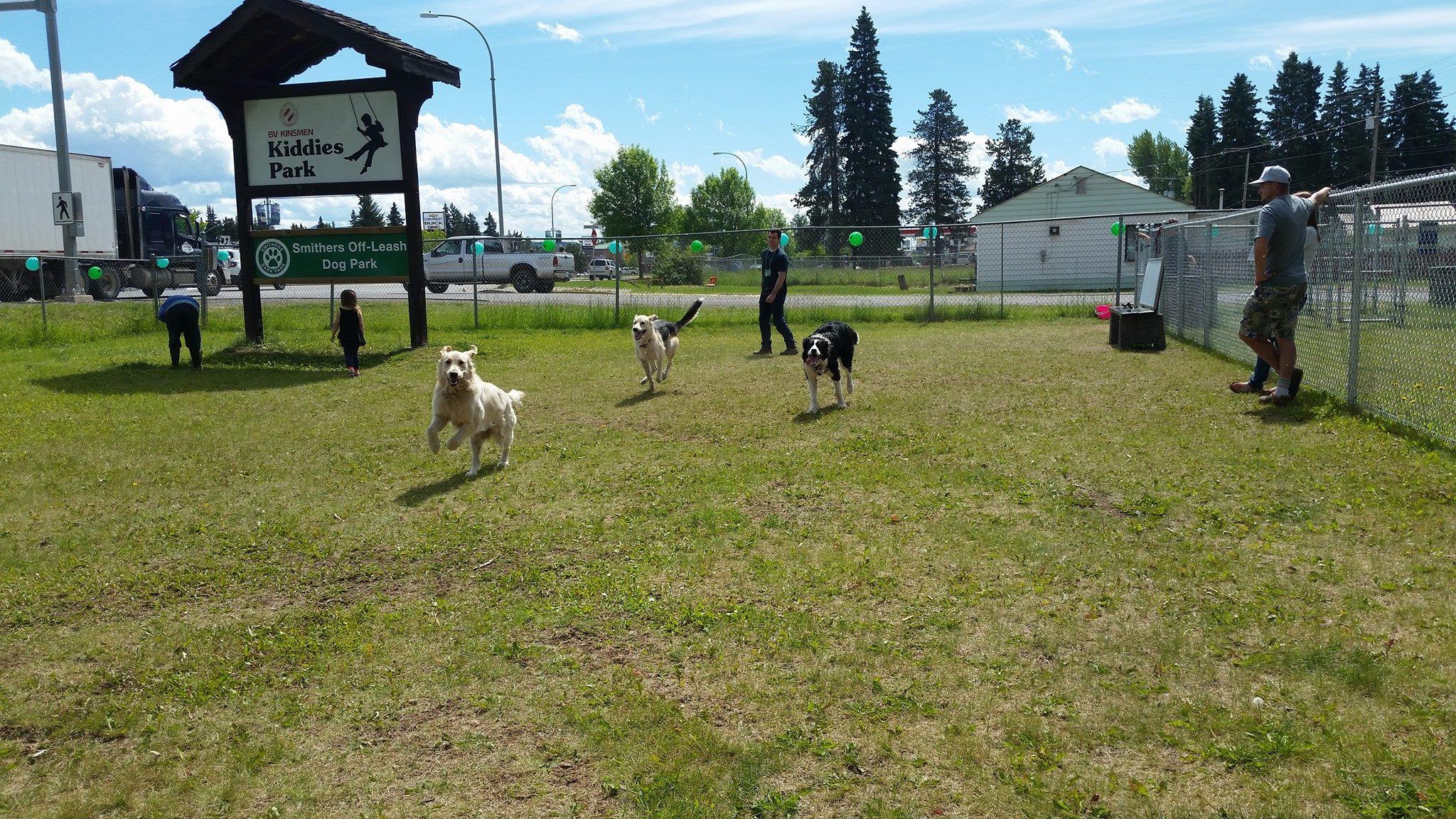 Pet Friendly Smithers Off-Leash Dog Park