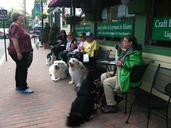Pet Friendly Doggy and Me Tour by Maine Foodie Tours