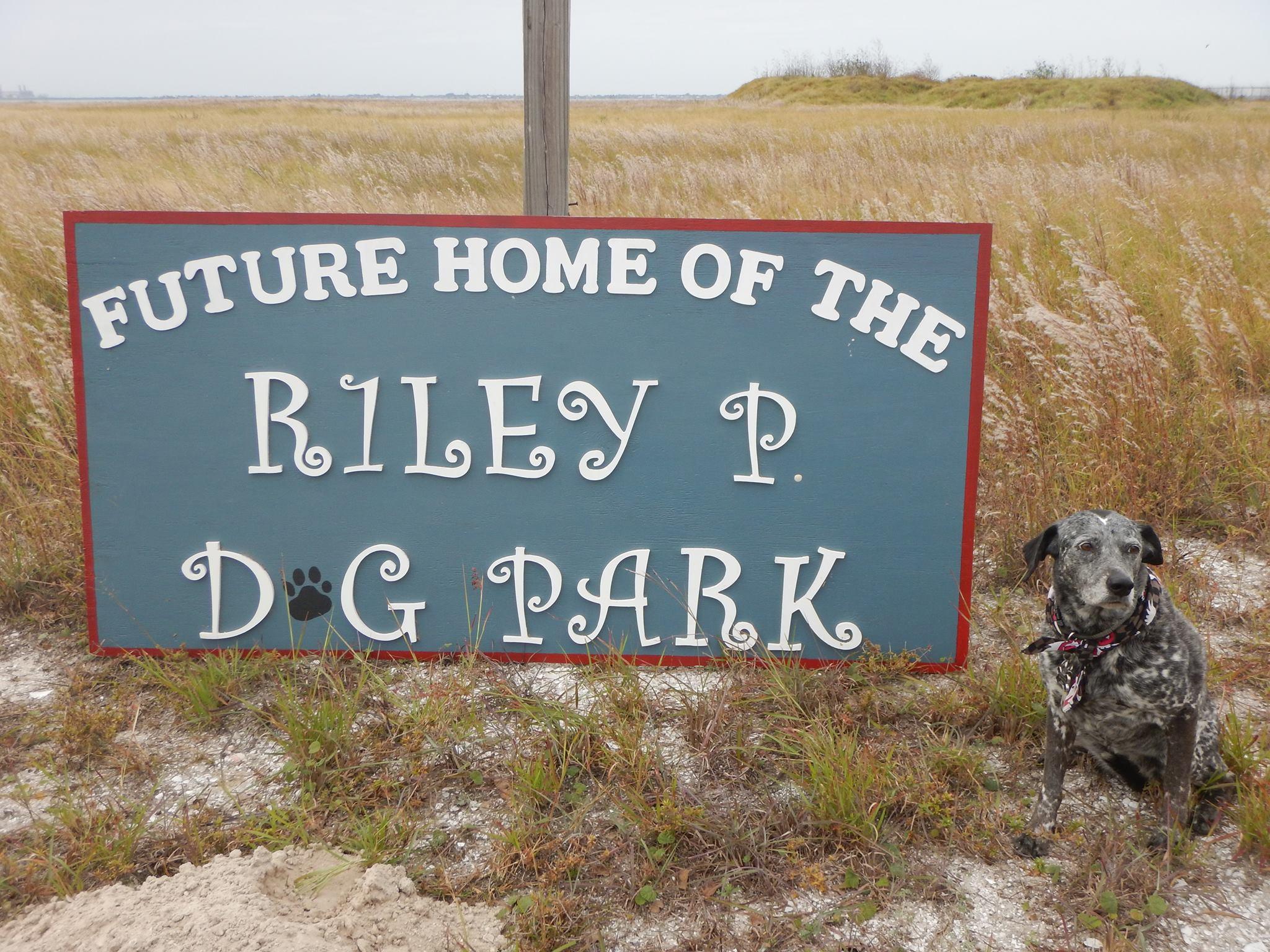 Pet Friendly Riley P Dog Park