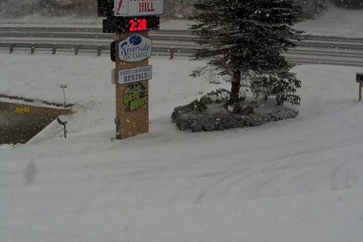 Other Dog Activities In Boone Nc Bringfido