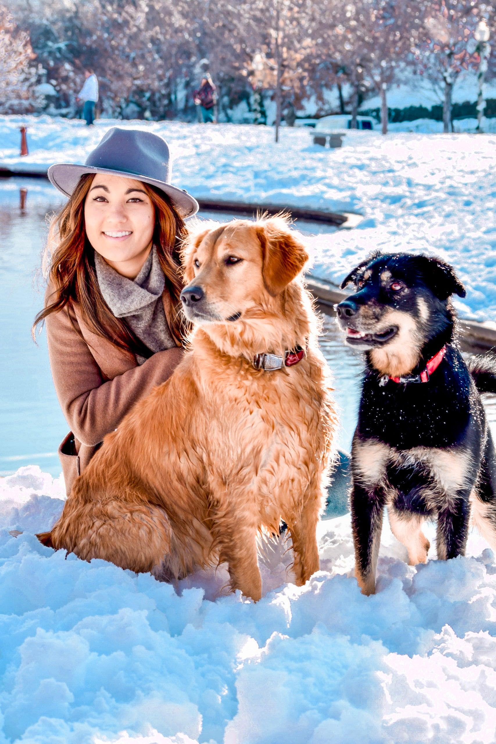 Pet Friendly Magical Wintry Photo Shoot