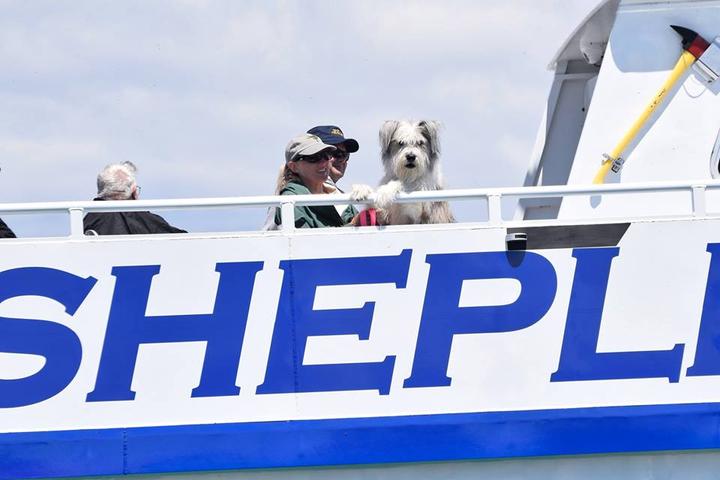 Pet Friendly Shepler's Ferry