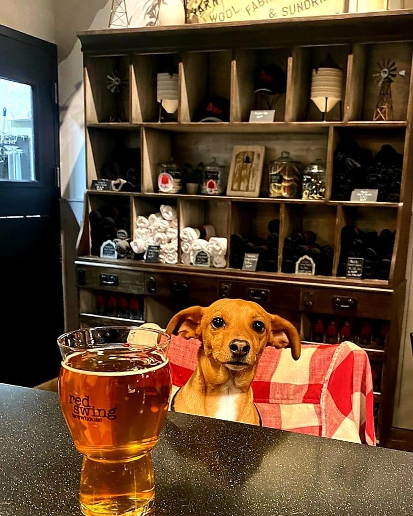 Pet Friendly Red Swing Brewhouse