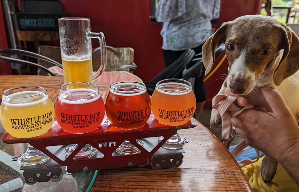 Pet Friendly Whistle Hop Brewing Company
