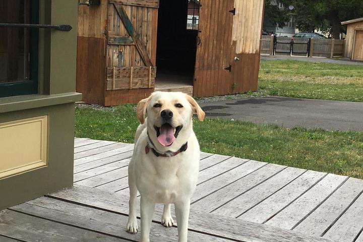 Pet Friendly Port Byron Old Erie Canal Heritage Park