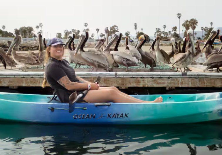 Dog Friendly Activities Santa Barbara: Explore Top Spots