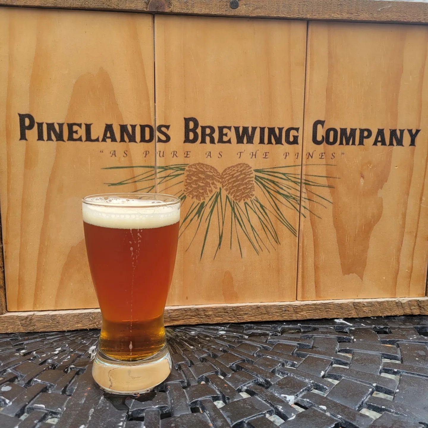 Pet Friendly Pinelands Brewing Co