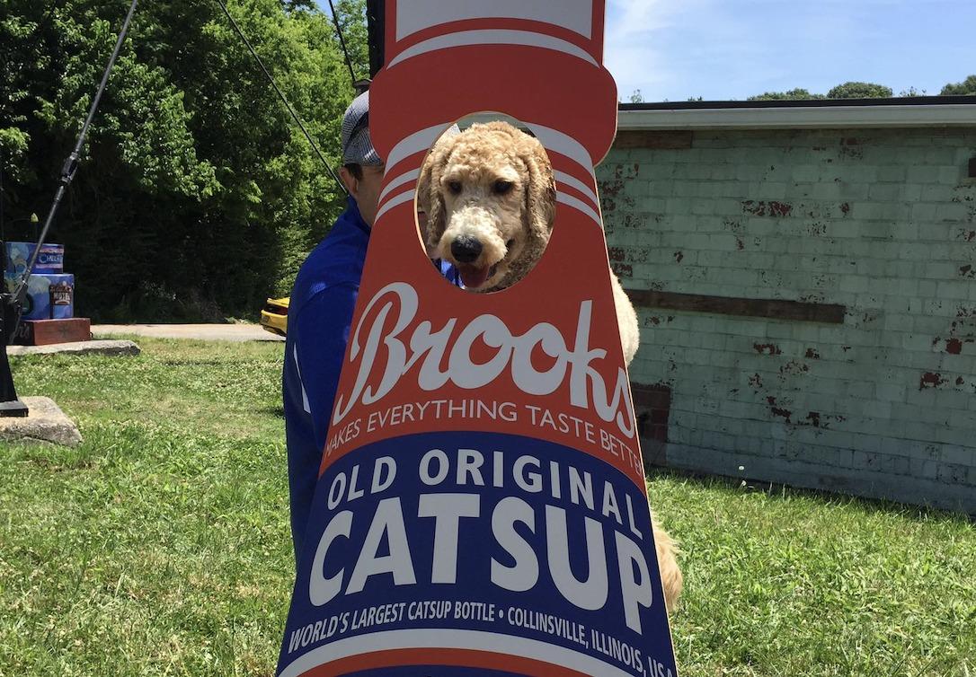 Pet Friendly World's Largest Catsup Bottle