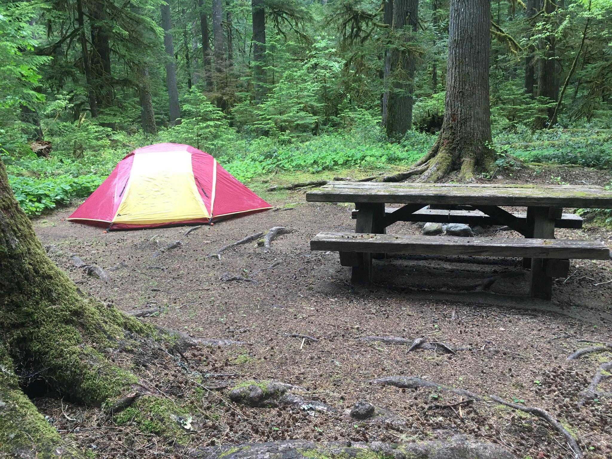 Pet Friendly Siuslaw National Forest