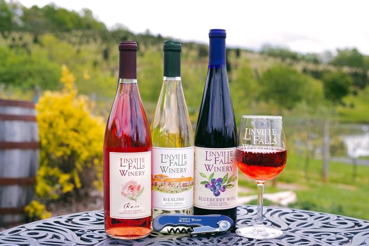Pet Friendly Linville Falls Winery