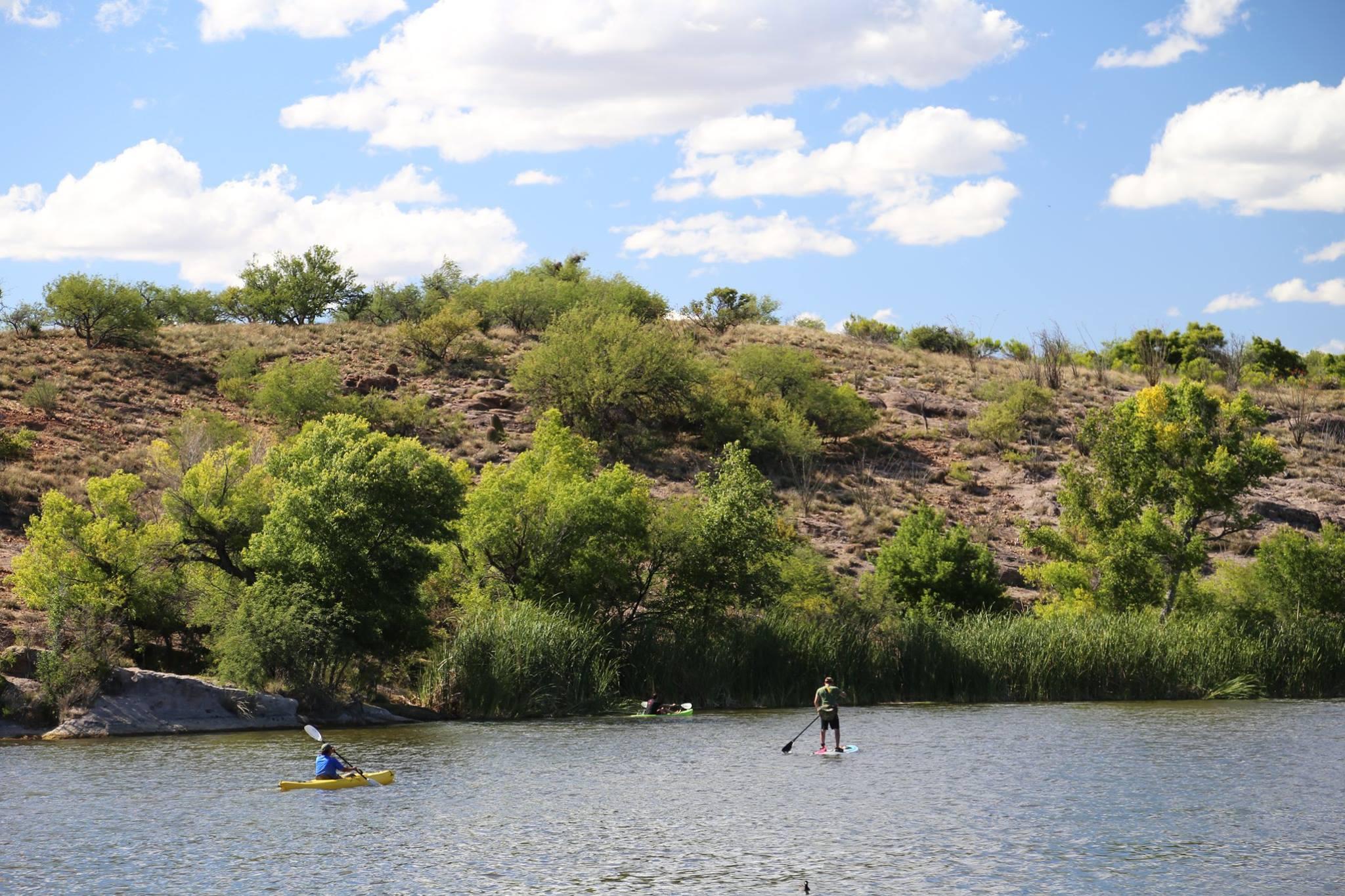 are dogs allowed at patagonia lake state park