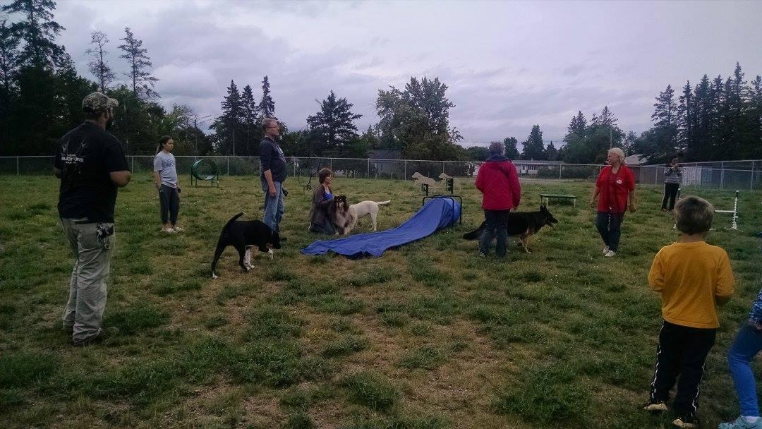 OffLeash Dog Parks in Bemidji, MN BringFido