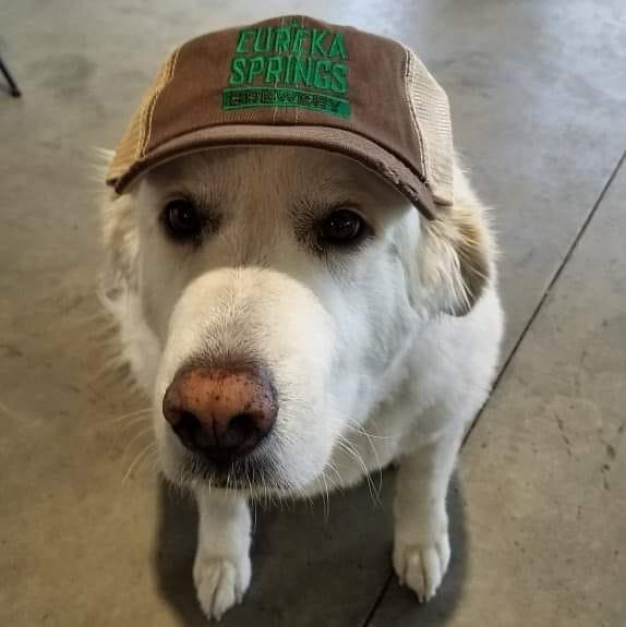 Eureka Springs Brewery