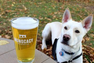 Pet Friendly Monocacy Brewing Company