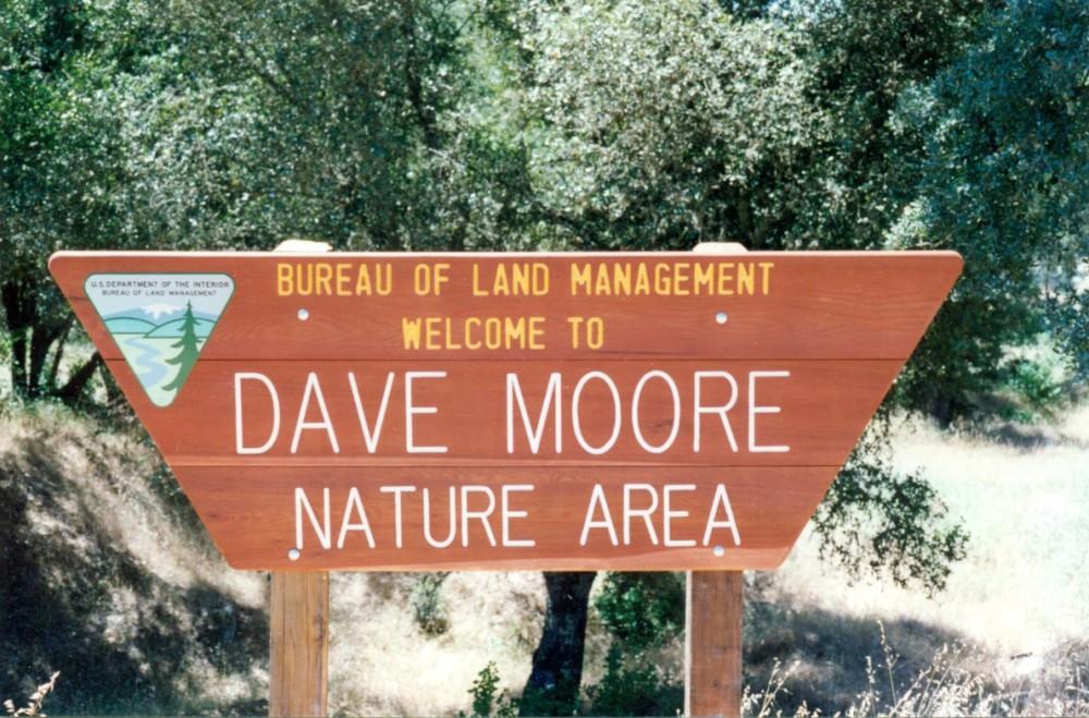 Pet Friendly Dave Moore Nature Area