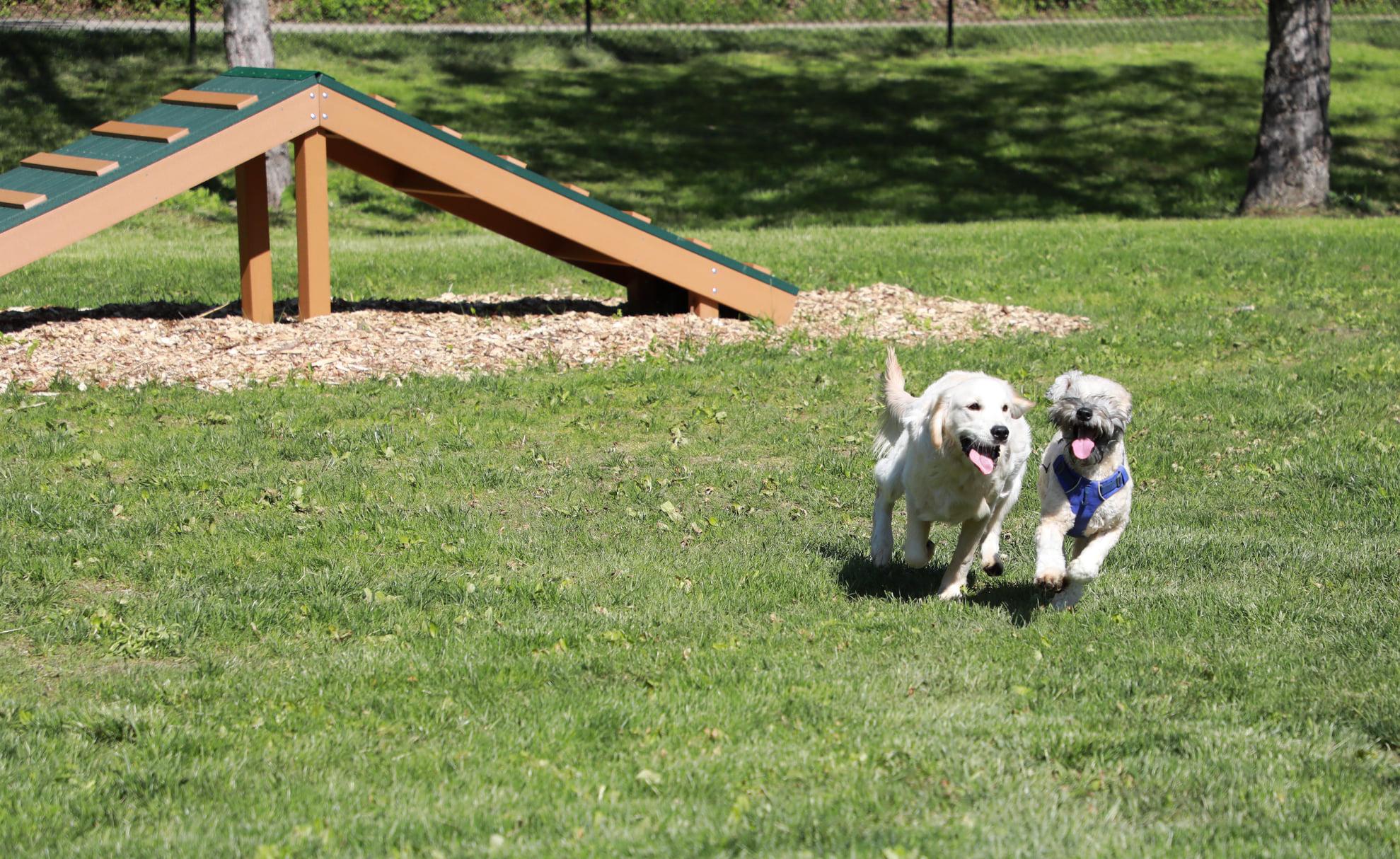 Pet Friendly Happy Hollow Dog Park
