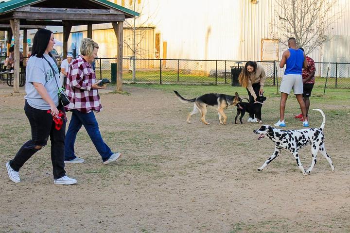 Pet Friendly Statesboro Downtown Dog Park