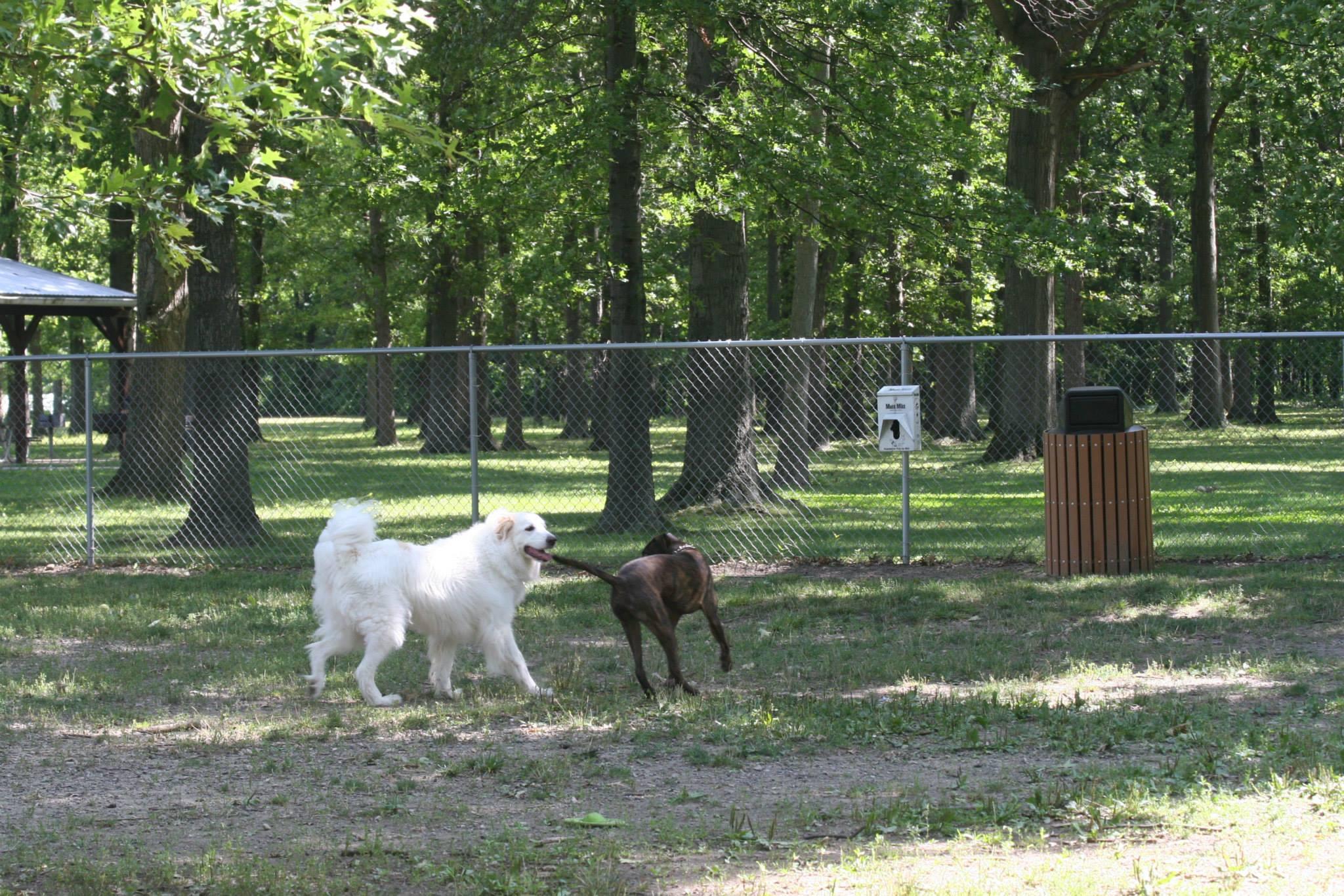 Pet Friendly Weiss Field Dog Park