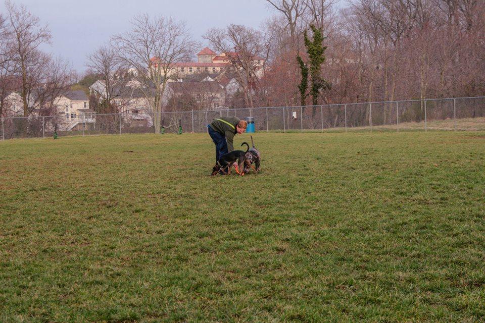 worthington off leash dog park