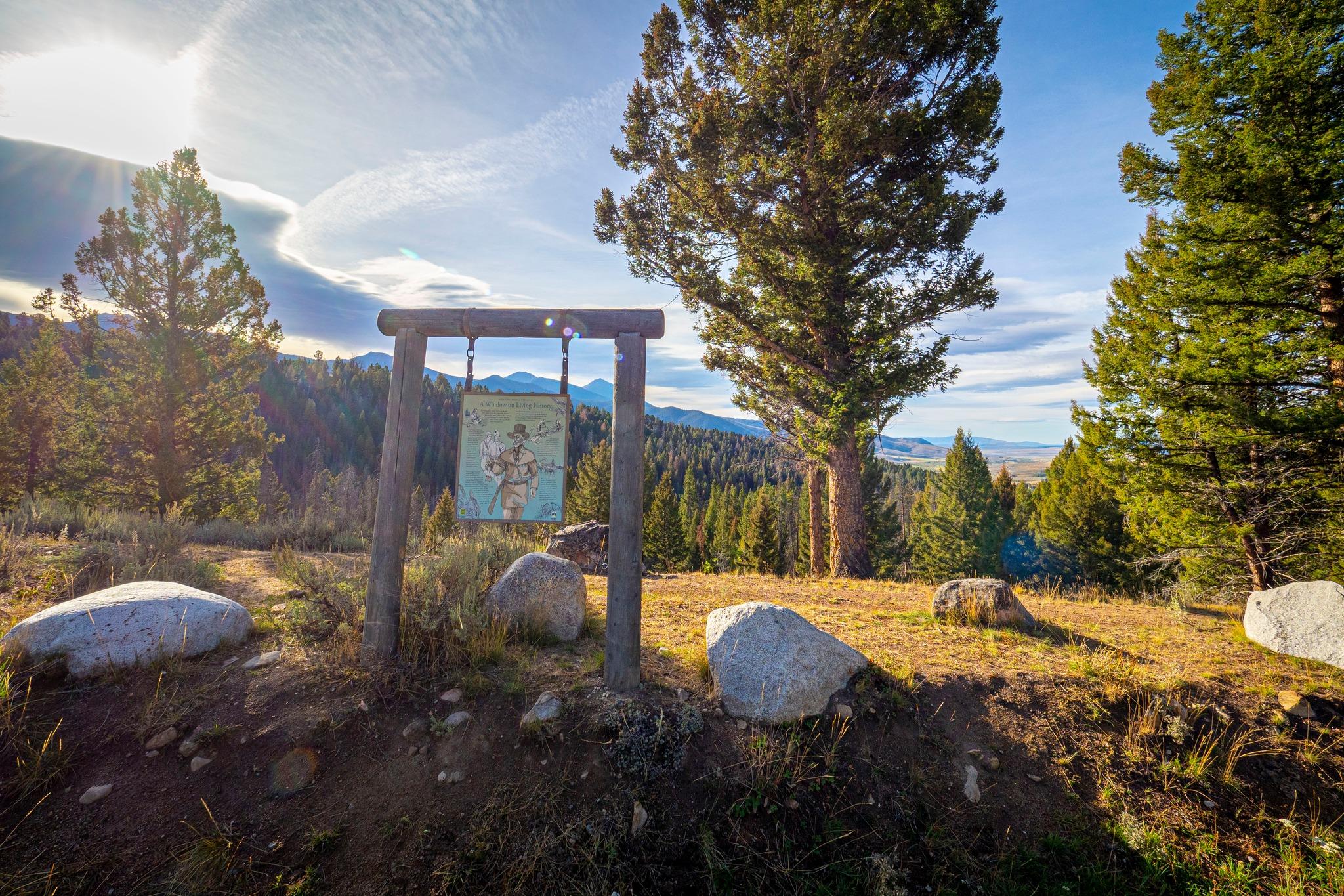 Pet Friendly Pioneer Mountain Scenic Byway