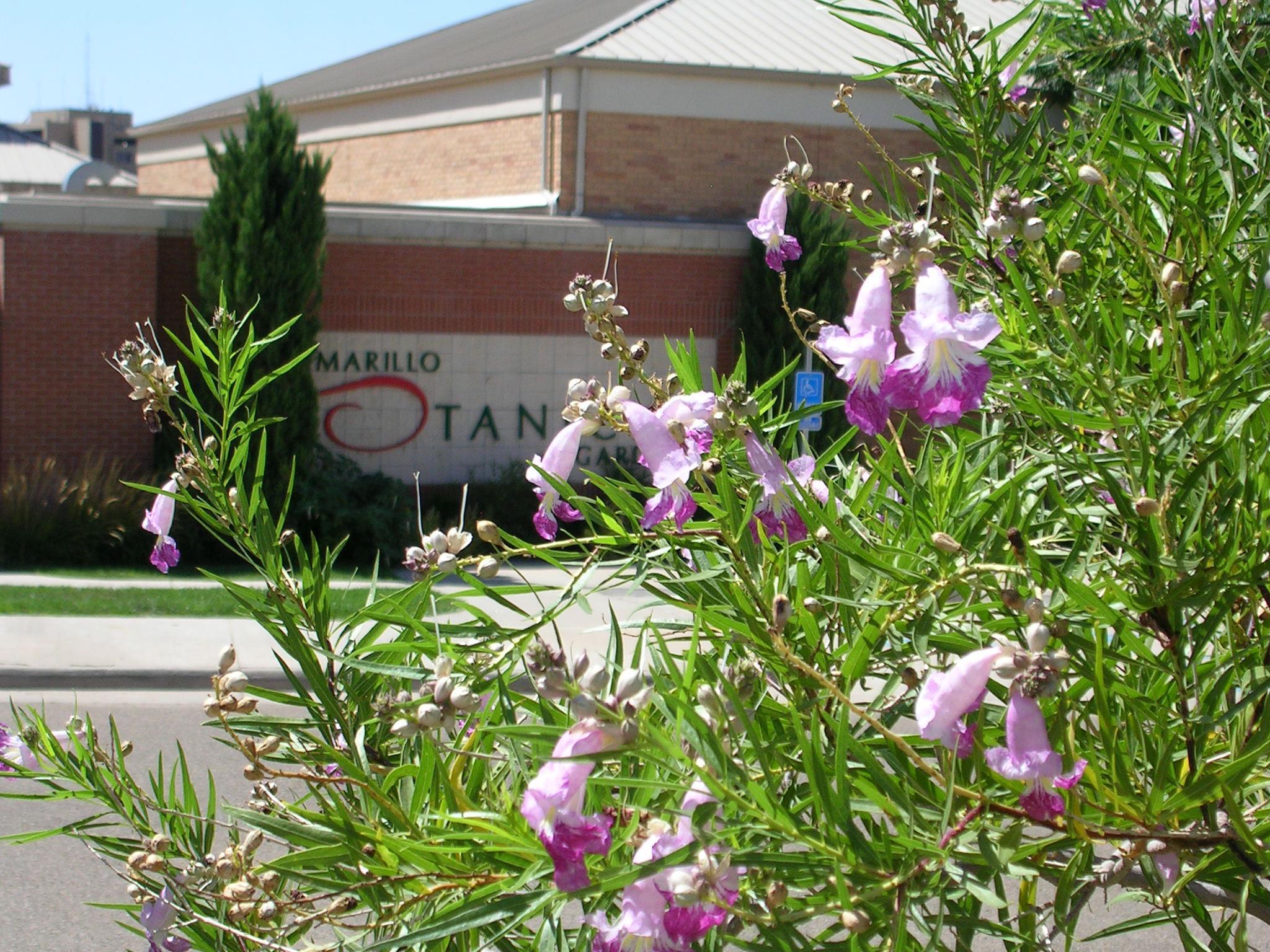 Amarillo Botanical Gardens