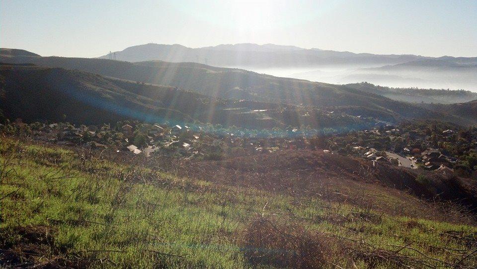 are dogs allowed in chino hills state park