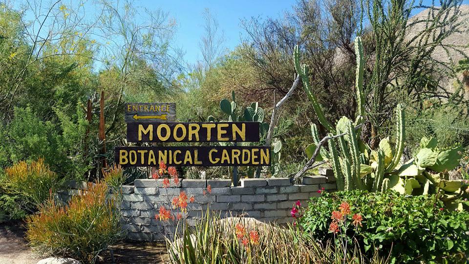 Pet Friendly Moorten Botanical Garden