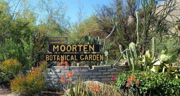 Moorten Botanical Garden Cactarium