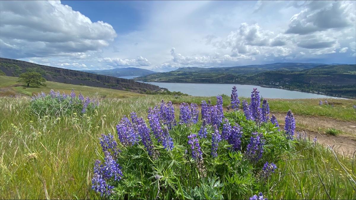 Columbia River National Scenic Area