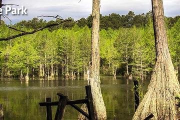 Dog Friendly Hiking Trails In Fayetteville Nc Bringfido